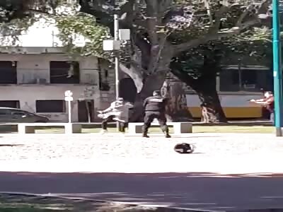 A 38-year-old Dominican citizen tried to stab a police officer 