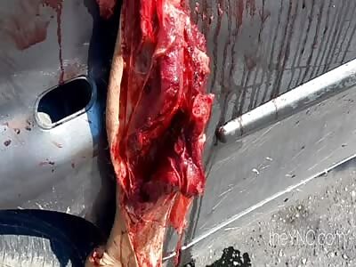 How to Go from Bike to Wheelchair In One Second