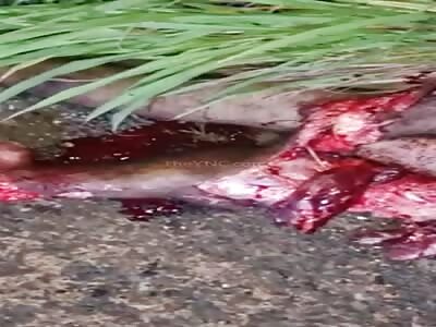 BRAZIL: Traffic Accident Compilation 2022.