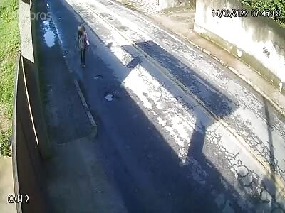 driver who hit and killed a woman 