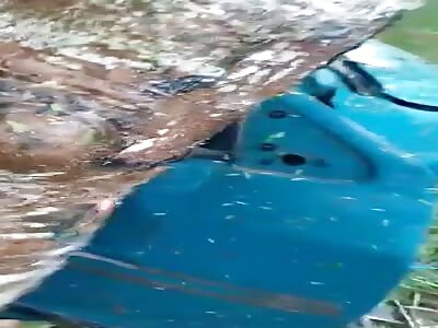 grandpa loses his life in an accident 