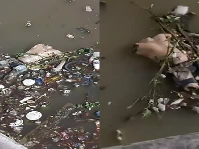 they find a decapitated man in rio de brazil 