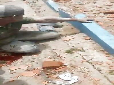 Accident in santamarta vehicle without brakes