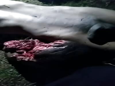 rivals show man who was beheaded