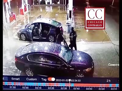 crime in chicago by lori lightfoot 