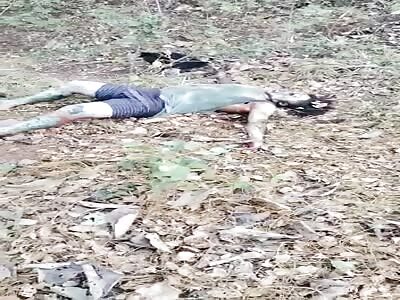 vultures devour human body 