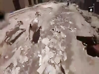 new executions of the Islamic state 