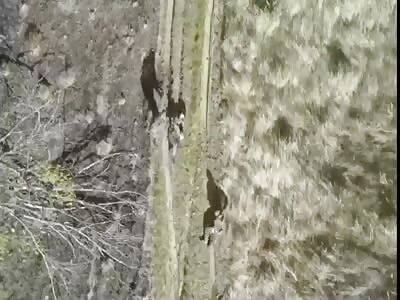 Give me your helmet and die!