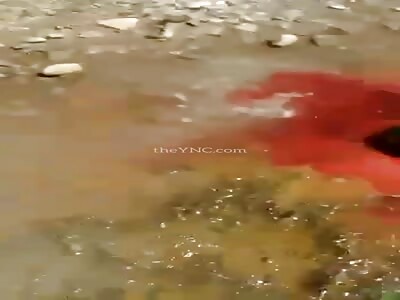 Savien's bandits slaughter their enemies