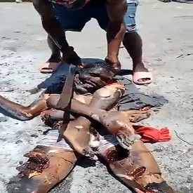 DAMN!! Someone Finally Sharpened Their Machetes.