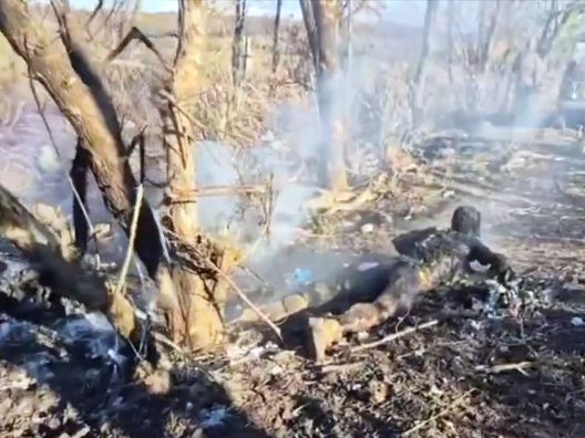 Comrade Verifies: Russians Dying Like Flies (Pokrovsk)