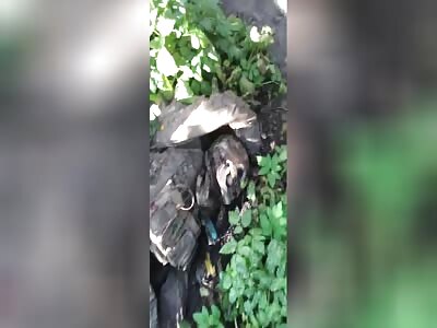 the Ukrainian is rotting in the grass