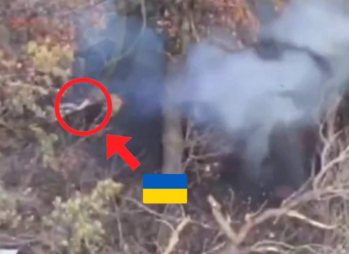 Who said Ukrats can't fly? 