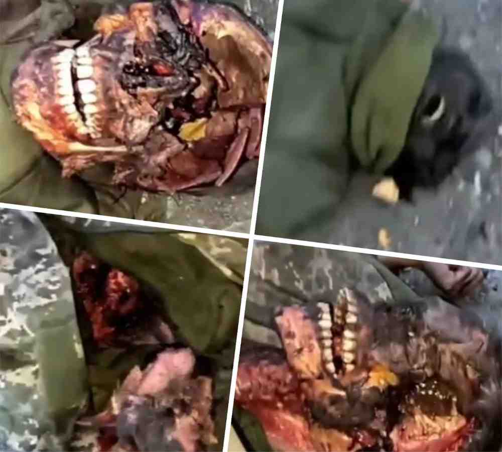 Open-minded Ukrainians.