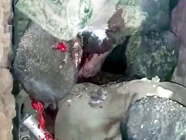 Bunker Blowout Has Brainless Pootin-ist in Toilet Posture