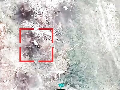 Dead Russians comp II (November 14, 2025)