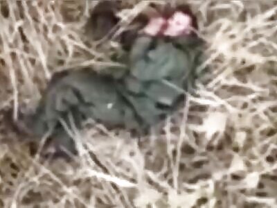 Invader begs for mercy. Executed by a drone.