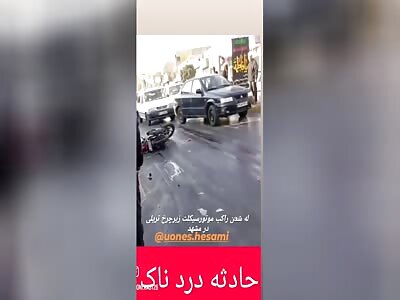 BRAINS, GUTS, BLOOD, FLESH AND BONES