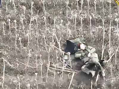 Dead Russians comp (November 18, 2025)