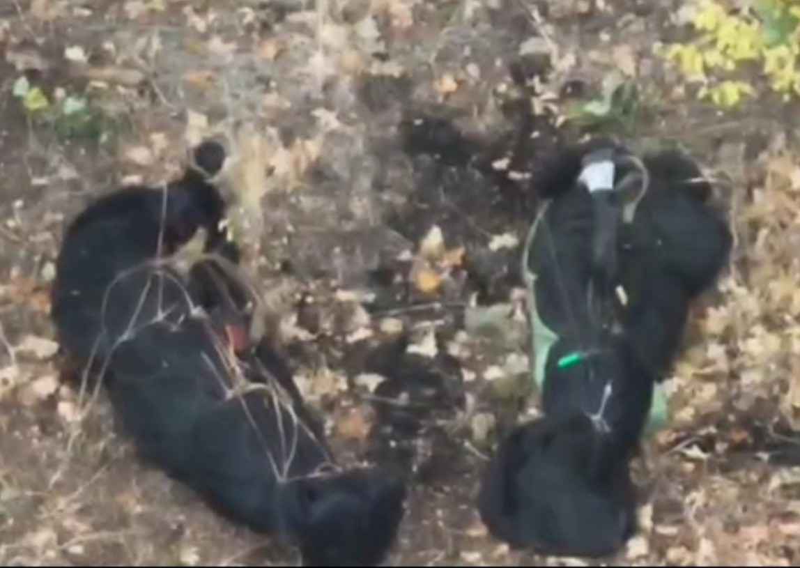 Ukrainians abandon their friends in black bags. 