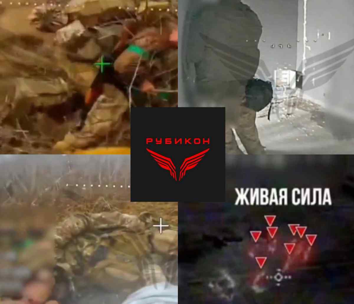 Rubicon butchery - 60 Ukrats.