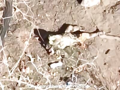 Extermination. - 40 Russhits