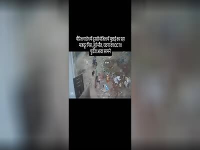 FALL CAUSES DEATH OF PAINTER 