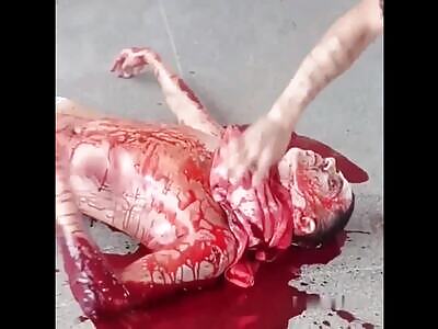 Brutal World (Compilation) 