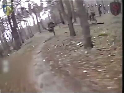 Ukrainian FPV Drones Killing 10 Russians