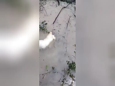 SOMEBODY PIECES FLOATING