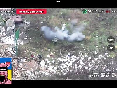 PIG SAVES RUSSIANS FROM LAND MINE