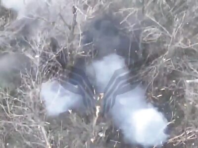 Rubicon Compilation #2