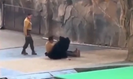 MAN BEING ATTACKED BY BEAR DURING SHOW