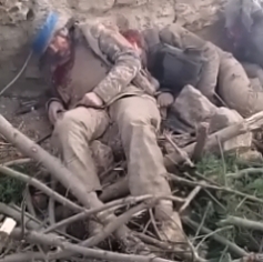 Thorough elimination