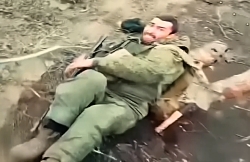 Like a game of cat and mouse