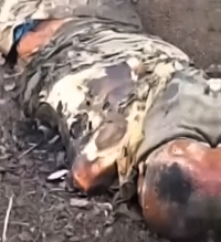 Harvest in the field