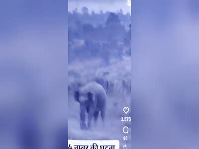 ELEPHANT GOES ON RAMPAGE AND MAN IS KILLED
