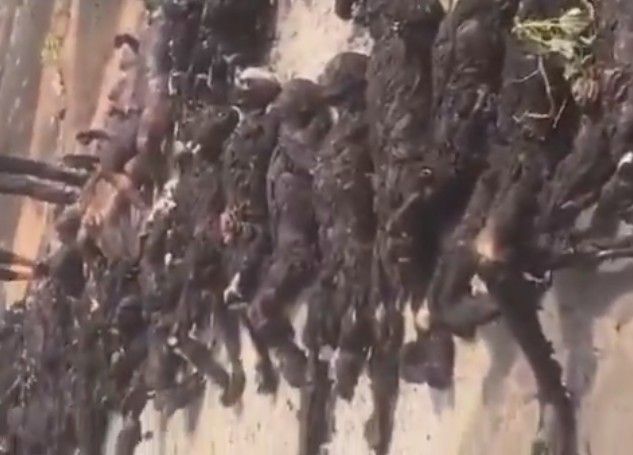 They Were Stealing Fuel From Crashed Tanker Truck