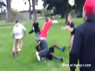 Scooter boy and his parents scrap it out with skateboarders