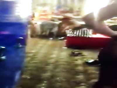 Dirty ratchets go at it