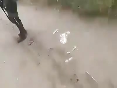 Aftermath of a Shootout in Mexico 