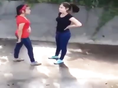 sometimes the little dog is more than bark 