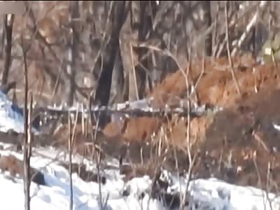 Russian Soldier Taken Out With Headshot By Ukrainian 