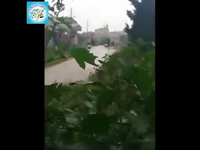 New Wrath Of Olives IED Kills Turkish Invaders