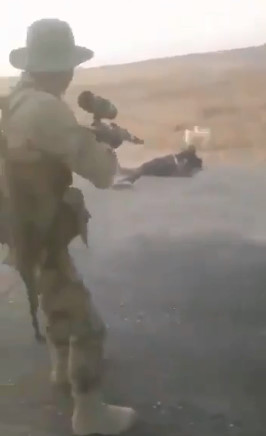  New Execution Of Kurdish Soldier By Turkish Invaders {Translated}