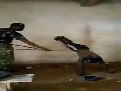Nigerian Soldiers Beat A Captive With Sticks