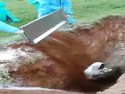 The Cemetery Is Full So Covid Victim Is Buried In A Pit