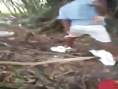 Brazilian Branch Beating