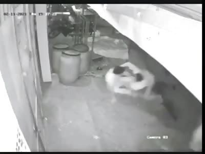 Man Shoots And Kills Multiple People Beating Up His Friend