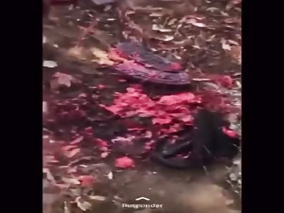 New Combat Footage From Mexico